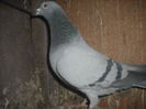 DSCF0102