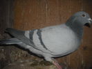 DSCF0104