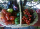 Photo0270
