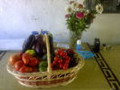 Photo0272