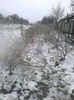 GRADINA IARNA