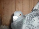 DSCF0032