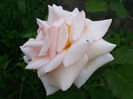 20140604_183616