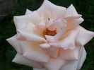 20140604_183626