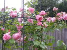 20140604_183648