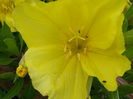 20140605_172604