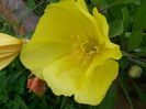 20140605_172608