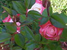 20140607_102035