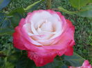 20140607_102042