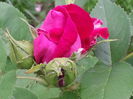 20140609_150359