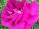 20140609_150410