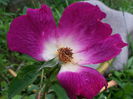20140609_150710