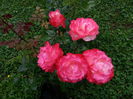 20140617_175338