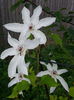 20140620_104819
