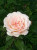 20140628_083534