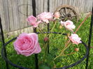 20140628_084200