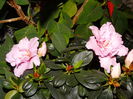 DSC09025
