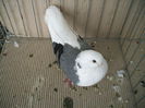 DSCF3769