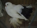 DSCF3843