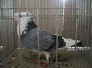 DSCF3892
