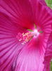 20140811_193320