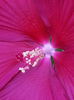 20140814_091305