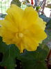 20140814_122722