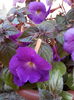20140814_122740