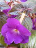 20140814_122743