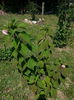 20140814_123149