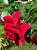 20140814_123720
