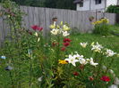 20140628_083203