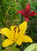 20140628_083242