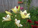 20140628_083307