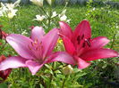 20140628_083341