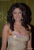 normal_Kavita Kaushik at ITA Awards on 14th December 2008 (91)
