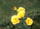 DSC05188