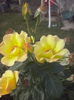 CAM00311