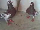 IMG_20141221_143600