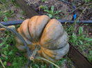 DSCN4486