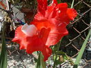 DSCN4059