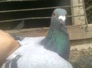 Image0401
