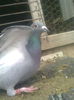 Image0402