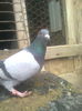 Image0403