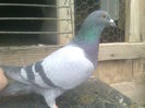 Image0404