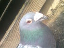 Image0405