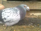 Image0406