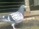 Image0407
