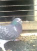 Image0408