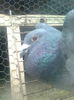 Image0436